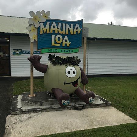 Mauna Loa Macadamia Nut Farm and Factory (Hilo) - 2018 All You Need to Know Before You Go (with ...