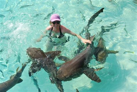 Pig Beach, Bahamas — Rigging Doctor