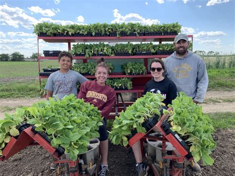 Tobacco Farmer Keeps Rare Crop Alive in Wisconsin - Mid-West Farm Report