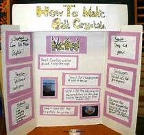 salt crystal science project display boards - Yahoo Image Search Results | Science fair, Science ...