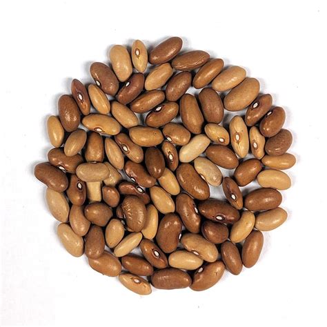 Bush Bean Seeds - Romano #14 | Sow True Seed