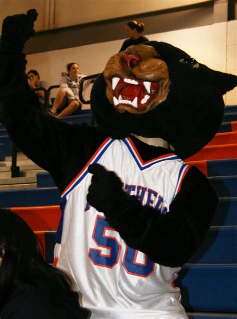 SUNY Mascot Madness