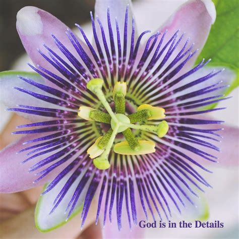 God is in the Details - Navigating the Seasons of Life with Jesus by my ...