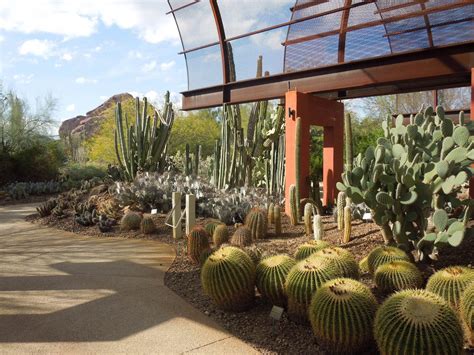 Desert Botanical Garden Cactus Plants | Most beautiful gardens, Desert botanical garden ...