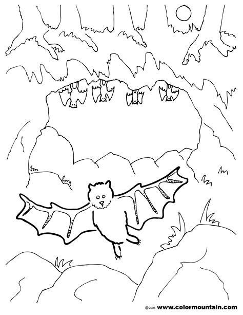 Cave Animals Coloring Page Coloring Pages