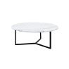 Uncommon Oval Coffee Table | Metal | Marble | 2 Colours