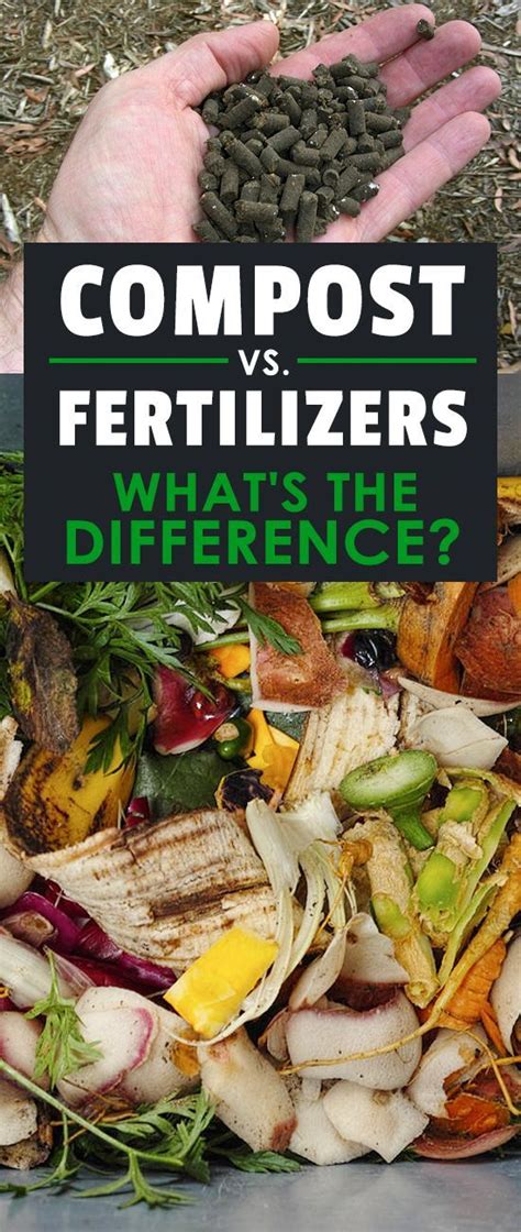 The difference between compost and fertilizer is surprising. Which one ...