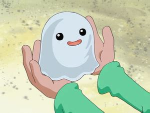 Poyomon - Wikimon - The #1 Digimon wiki