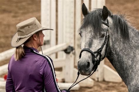 9 Equine Melanoma Myths Busted | SLO Horse News