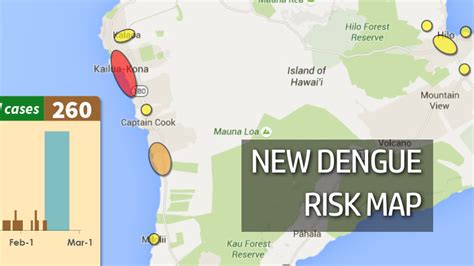 New Dengue Fever Risk Map Posted, State Ramps Up For Zika Testing