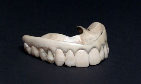 Predicting human evolution: Teeth tell the story | Medical history, Human teeth, Teeth