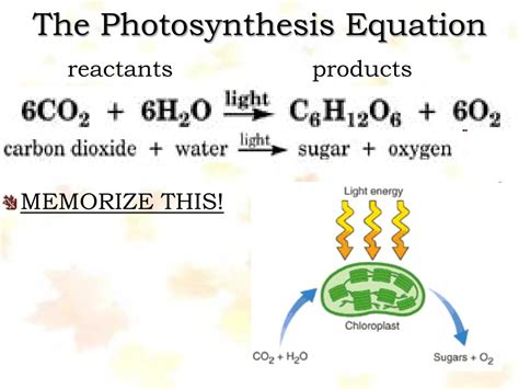 Photosynthesis Formula