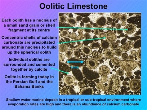 Organic chemical sedimentary_rockssmall