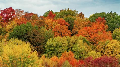 Michigan Fall Foliage 4 Photograph by David Dole - Fine Art America