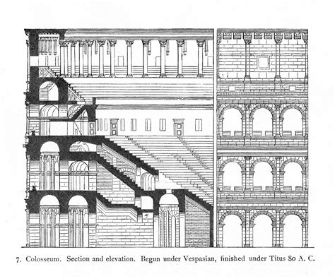 Colosseum: reconstruction section and elevation | Title: Col… | Flickr