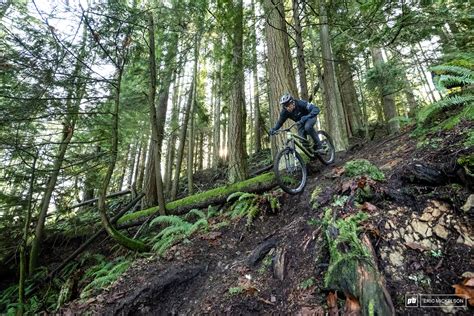 Review: 2022 Canyon Torque CF8 - Pinkbike