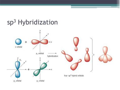 PPT - Hybridization PowerPoint Presentation, free download - ID:2093658