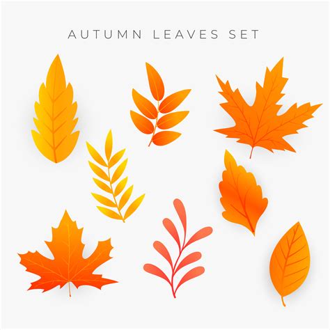 set of orange autumn leaves - Download Free Vector Art, Stock Graphics & Images