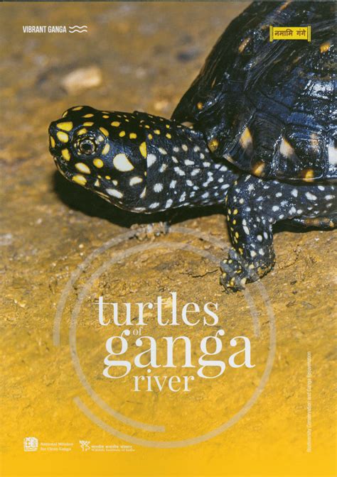 (PDF) Turtles of Ganga