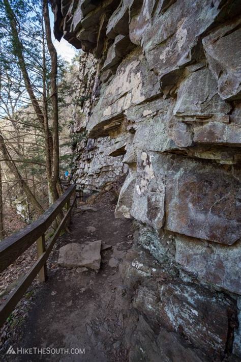 Cloudland Canyon Waterfalls Trail | HikeTheSouth