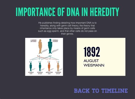 EVOLUTION THEORY TIMELINE - Screen 14 on FlowVella - Presentation ...