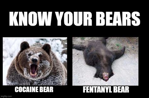 KNOW YOUR BEARS - Imgflip