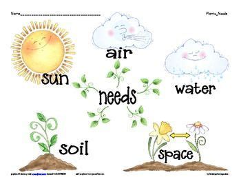 Basic Needs of Plants