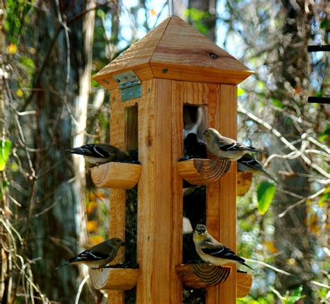 Cardinal Bird Feeders