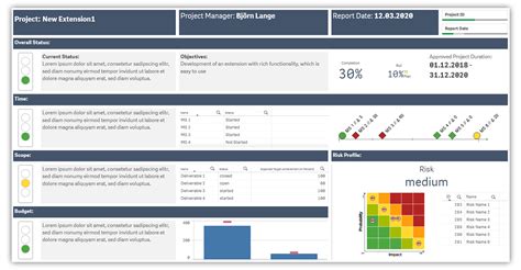 Qlik Sense Dashboard and Extensions - LeapLytics