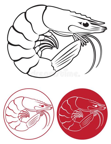 Shrimp Stock Vector Illustration - Flash Tattoo Design