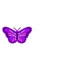 Purple Butterfly :: Animated Pictures :: MyNiceProfile.com