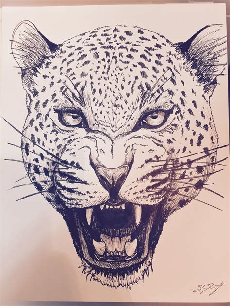 Jaguar - Drawing Skill