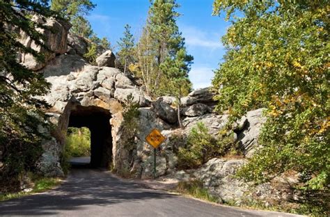 Needles Highway » Scenic Drives » Activities » Custer State Park Resort | Scenic drive, Scenic ...