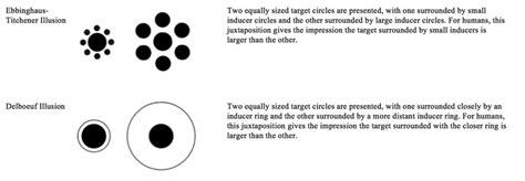 Schematic representation of the Ebbinghaus-Titchener and Delboeuf... | Download Scientific Diagram