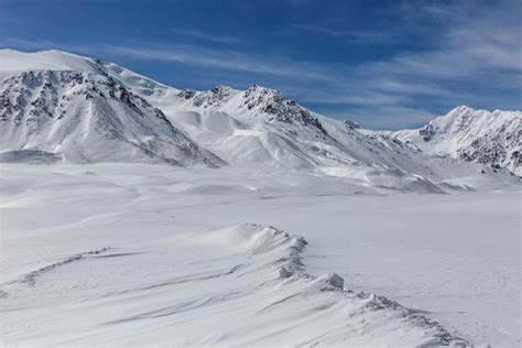 Here's What to Know About the Tundra Land Biome | Biomes, Arctic tundra ...