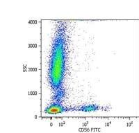 CD56 Antibody (MA1-19129)