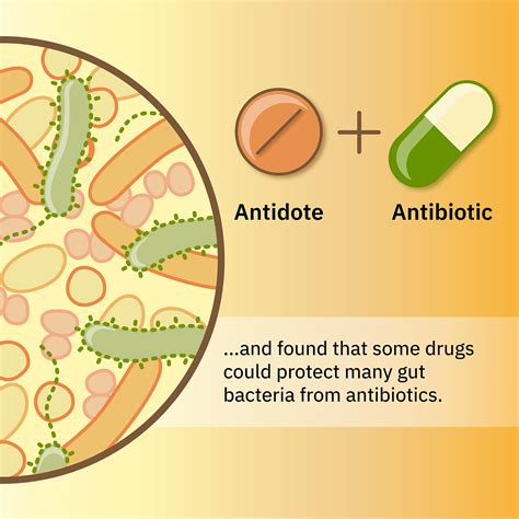 Tackling the collateral damage from antibiotics | EMBL