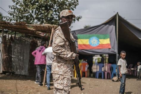 Opinion| Ethiopia elections - Dailynewsegypt