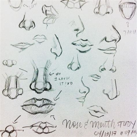 70+ Drawings Of Noses: Sketches, Studies & Sketchbook Examples