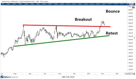 Earnings Edge: Don't Miss These Reports (NVDA, NTAP, BBY, UHS, HPQ)