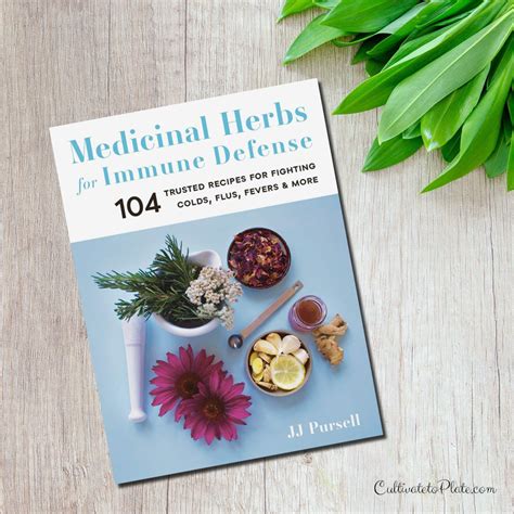 Medicinal Herbs for Immune Defense by JJ Pursell – Cultivate to Plate