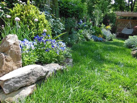 LAVENDER BLUE GARDEN DESIGN: IRISH COTTAGE GARDEN