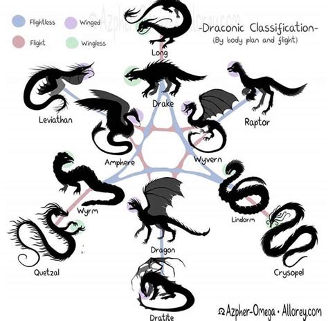 Dragon classification : r/coolguides