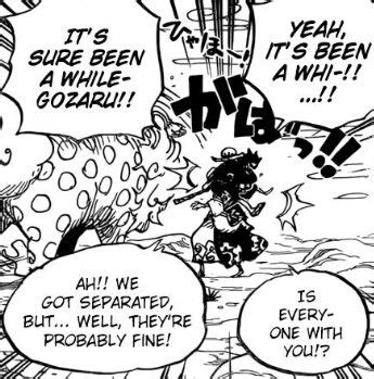 pat on Twitter: "Zoro and Luffy finally meeting in wano!! I miss them 😭 ...