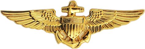 Download HD Naval Aviator Badge - Navy Pilot Wings Transparent PNG Image - NicePNG.com