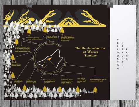 Yellowstone Park Timeline by Trumere Butler on Dribbble