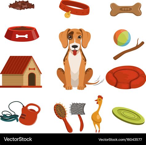 Different accessories for domestic pet dog Vector Image