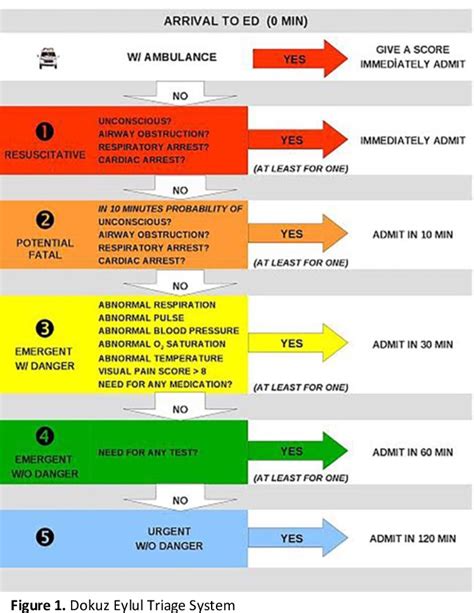 Dokuz Eylul Triage System: A five category triage algorithm, reliability and validity study ...