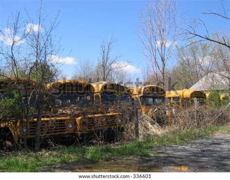 Old School Buses Lined Junkyard Stock Photo (Edit Now) 336601