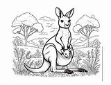 Free Kangaroo Coloring Pages For Kids sketch template